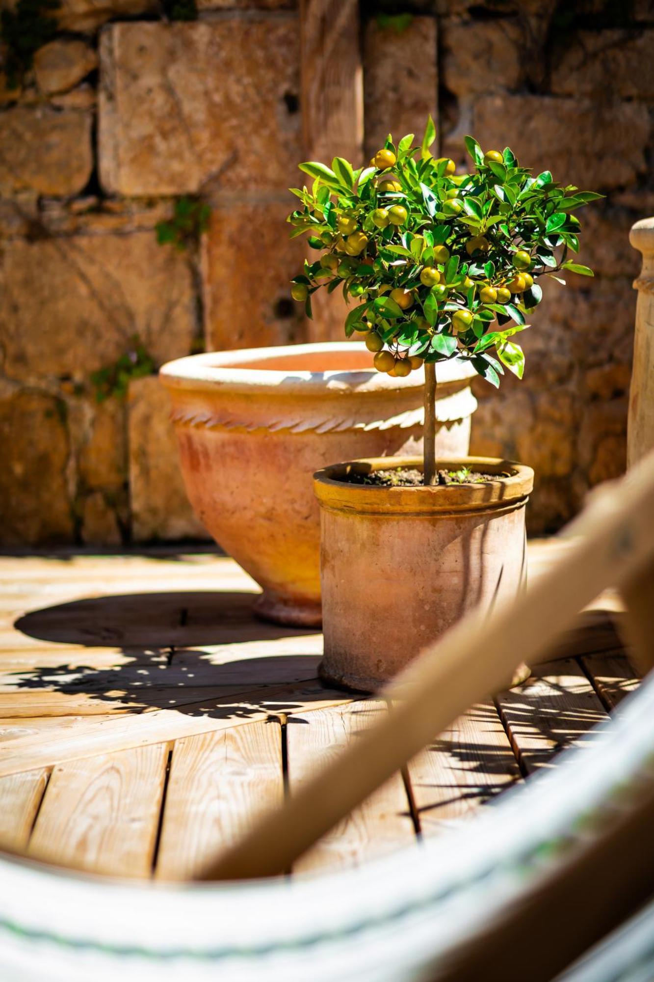 Maison Des Chanoines Sarlat-la-Canéda Eksteriør billede